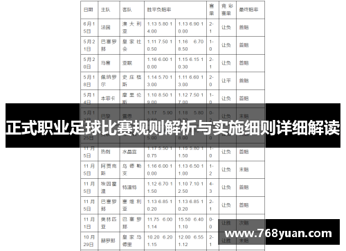 正式职业足球比赛规则解析与实施细则详细解读
