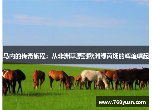 马内的传奇旅程：从非洲草原到欧洲绿茵场的辉煌崛起